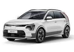 Curso All-New Niro EV