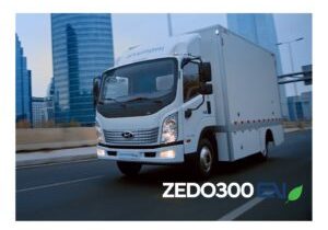 avatar_zedo_300-300x233